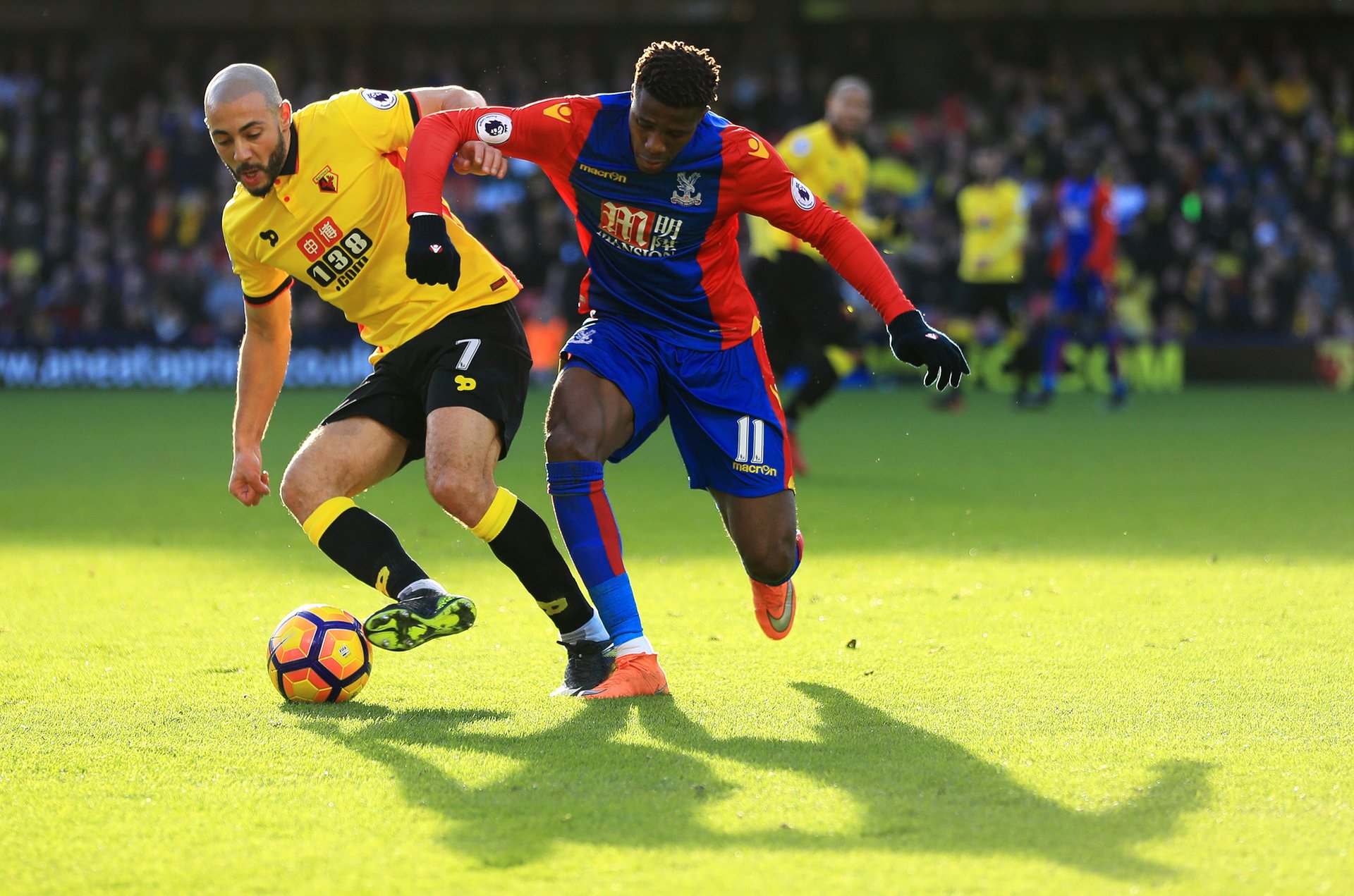 书面调查报 书面调查报