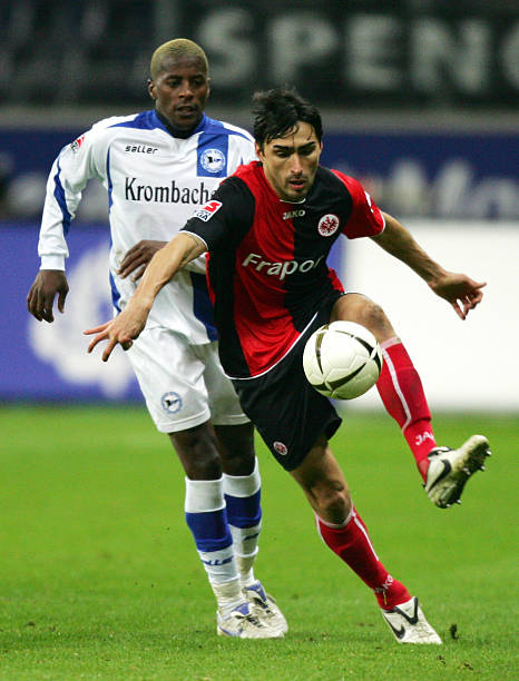 的布莱顿 的布莱顿